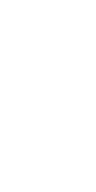ng电子游戏