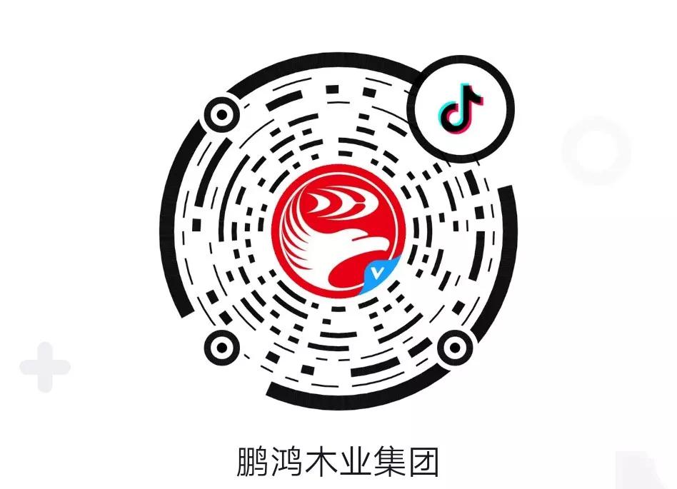 这厢有礼丨这个春节我最鸿，抖音相伴幸福年