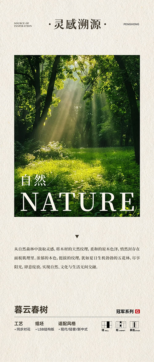 鸿运国际LSB结构板