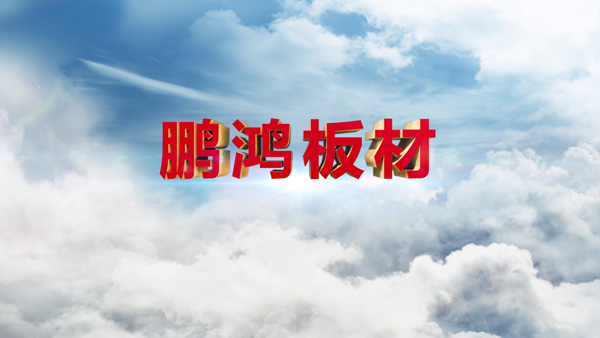 鸿运国际产品纪录片之板材篇